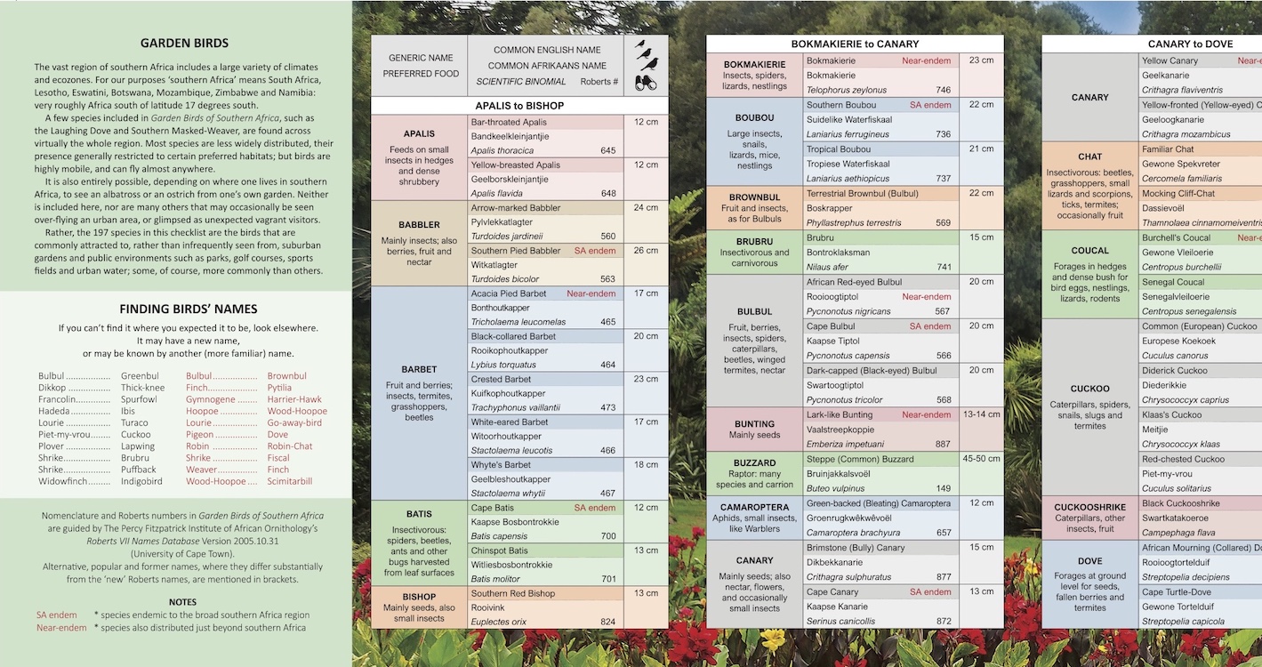 Wordsmiths - Garden Birds of SA Sample